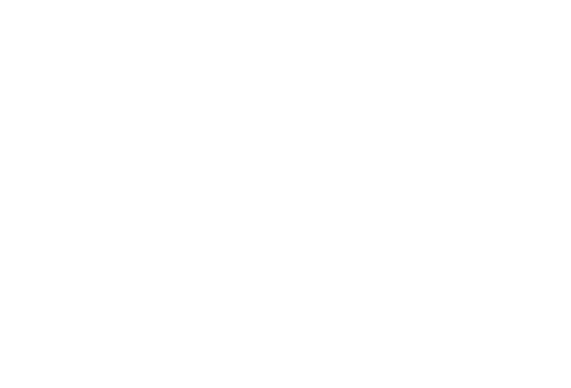 Fort Fitness Logo